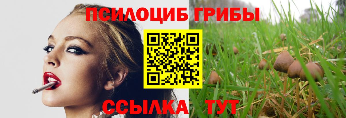 Галлюциногенные грибы мицелий Великий Устюг
